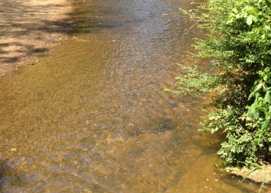 Photo of Blue Heron Nature Preserve