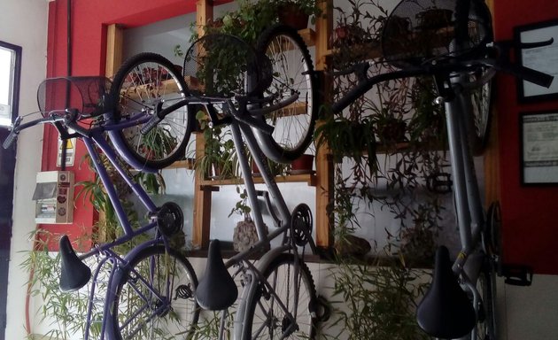 Foto de Alquiler de Bicletas en Aldea Hostel