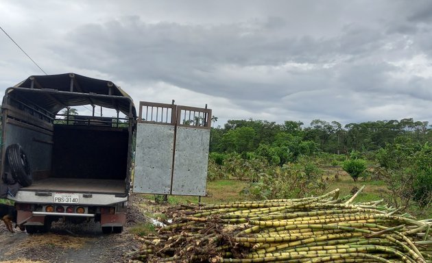 Foto de Jugos de Caña 100%Natural Guamani