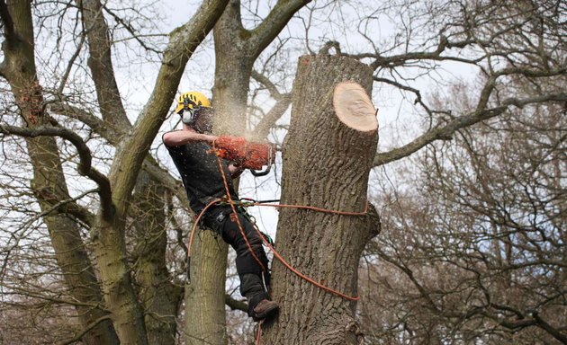 Photo of Myers Tree Services