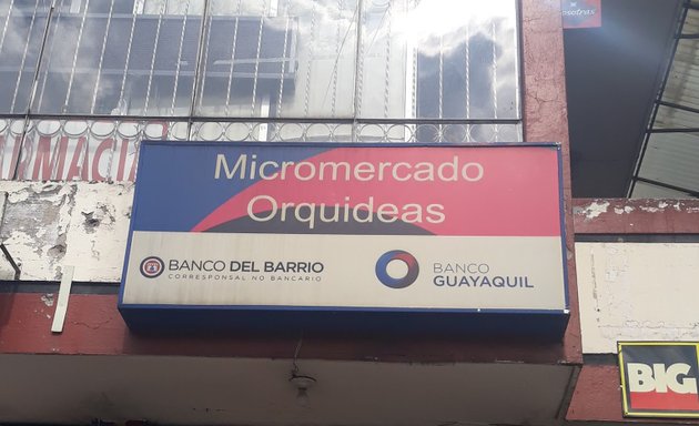 Foto de Micro Orquideas