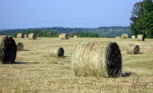 Photo of Prairie Western Ltd.