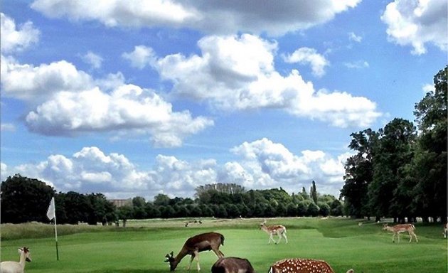 Photo of Sebastian Grobler Golf