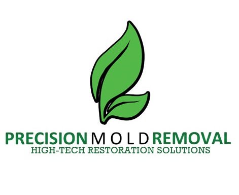 Photo of Precision Mold Removal