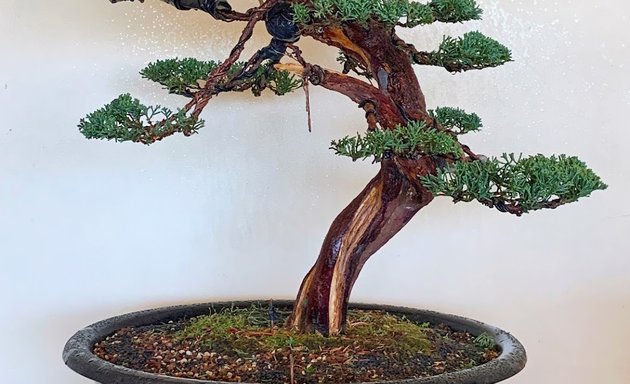 Foto de Bonsai Tengoku-En