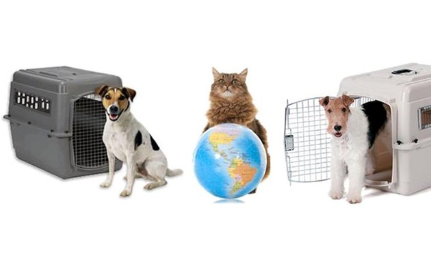 Photo of Petmoves Import Consultancy