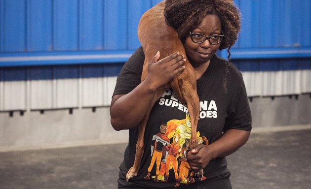 Photo of Carolina Doggie Playland