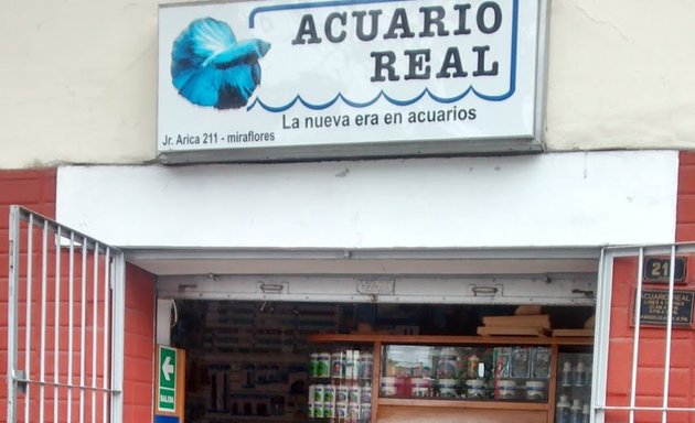 Foto de Acuario Real SRL - Lima - Perú