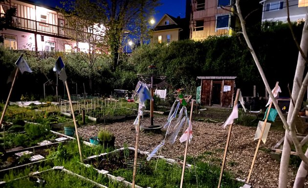 Photo of Shiga's P-Patch Community Garden