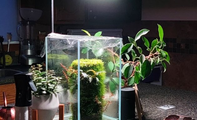 Photo of AquariumCO2