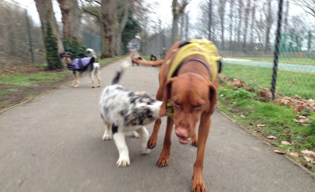 Photo of Woofs of Wimbledon