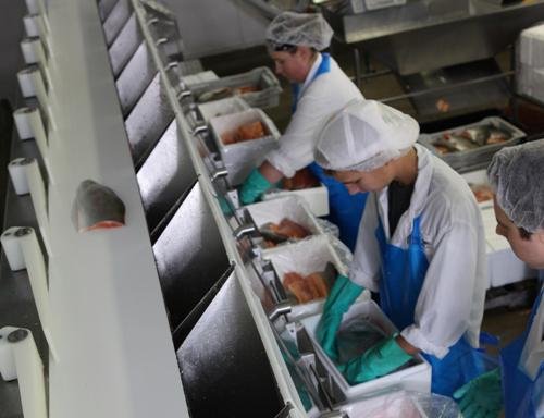 Photo of Food Processing Skills Canada
