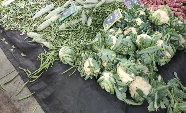 Photo of Culminate vegetables & Fritus