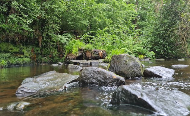 Photo of Rivelin Valley
