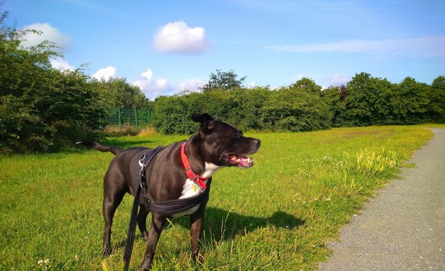 Photo of Parkfield Recreation Ground