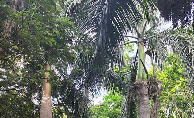 Photo of Kuvempu Udyanavana (Park) / ಕುವೆಂಪು ಉದ್ಯಾನವನ