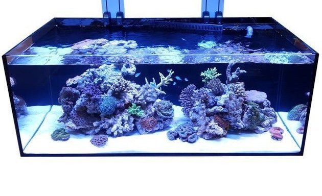 Photo of Aquatech Aquariums