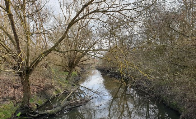 Photo of Bittern's Field