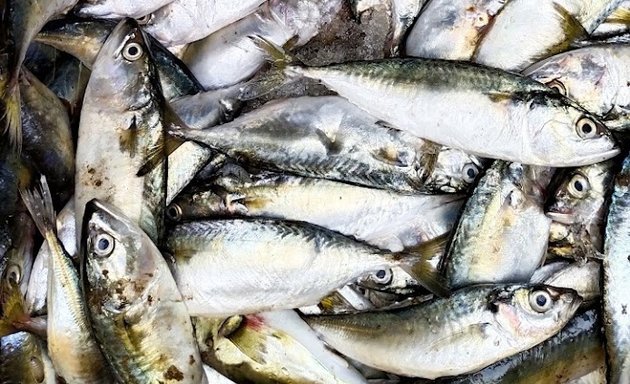 Photo of Malabar Sea foods