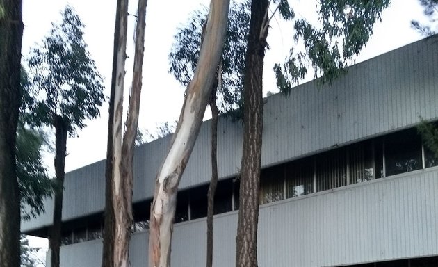 Foto de Facultad de Medicina Veterinaria y Zootecnia