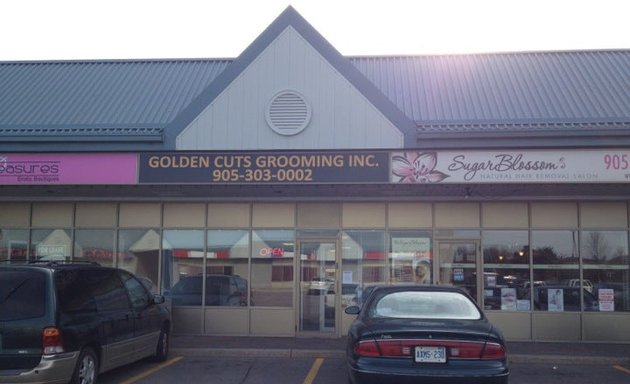 Photo of Golden Cuts Grooming Inc