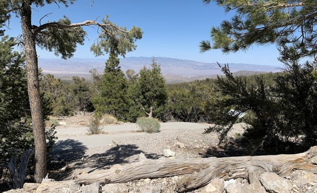 Photo of Spring Mountains National Recreation Area Office