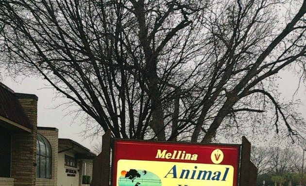Photo of Mellina Animal Hospital