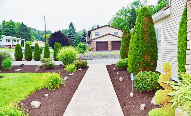 Photo of Omega Landscaping