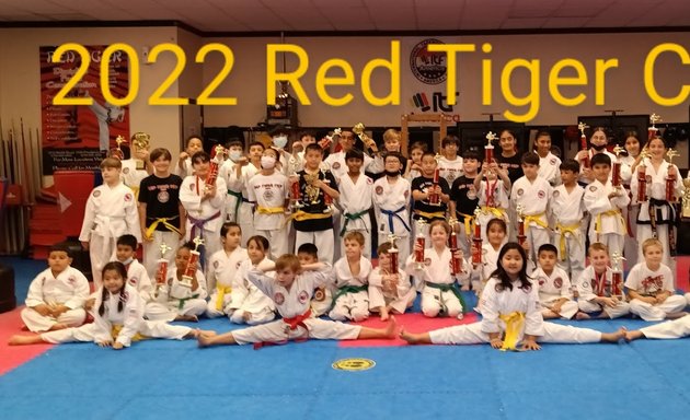 Photo of USTC's Red Tiger Taekwon-do