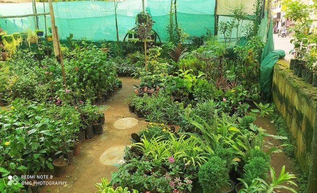 Photo of Sri Maruthi Nursery Green Garden