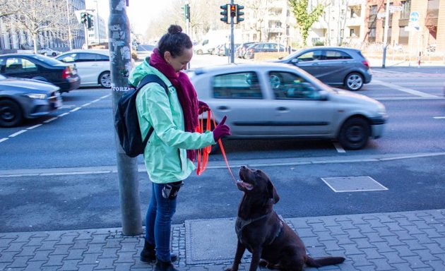 Foto von Frankfurter Stadtpfoten - Hundetraining Sarah Mehari | Hundeschule Frankfurt am Main