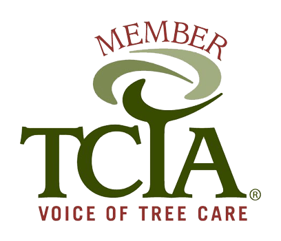 Photo of Arbor Man Tree Care