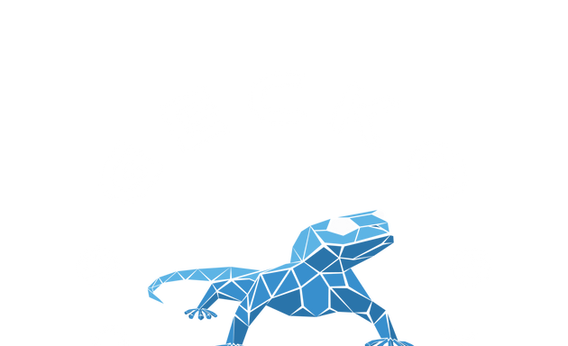 Photo of Gecko Climbing Gym