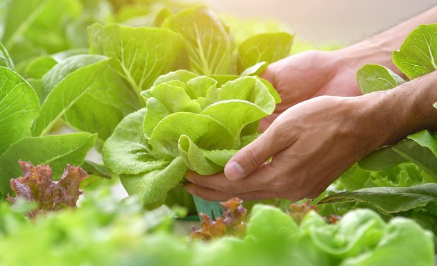 Photo de Eat Salad