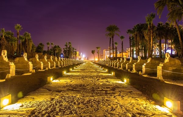 Photo of Egypt Guided Tours