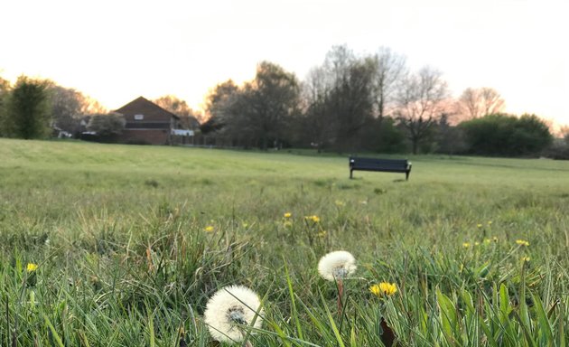 Photo of Round Shaw Downs