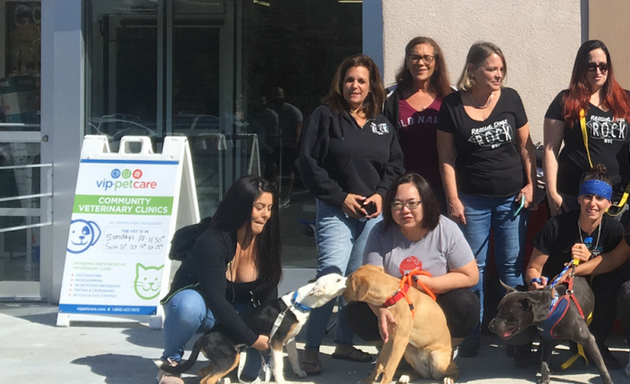 Photo of Rescue Dogs Rock NYC