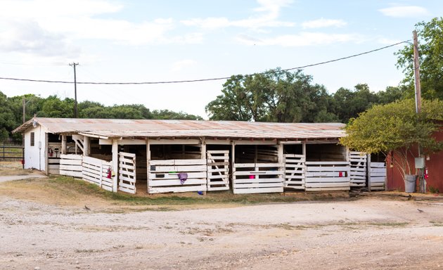 Photo of Turkey Creek Stables Inc