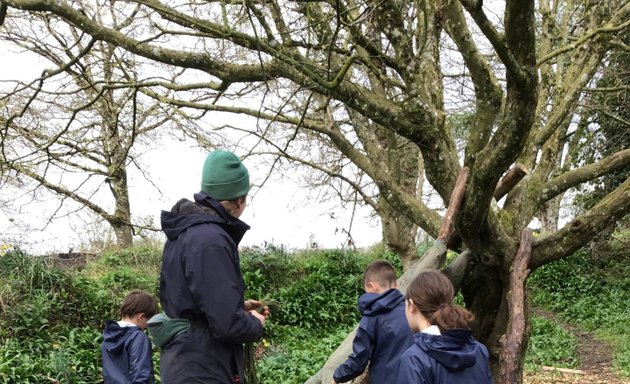 Photo of Laira Green Primary School