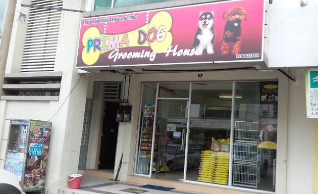 Photo of Prima Dog Grooming House