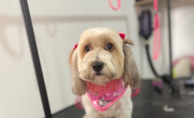 Foto de Lina's Pet Salon