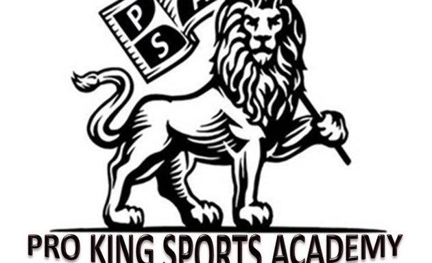 Photo of Pro King Sports Academy Cricket Coaching Sion