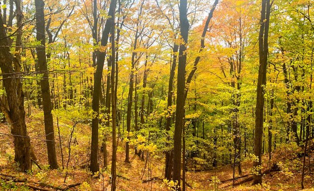 Photo of Rouge River Park