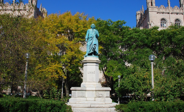 Photo of Carl von Linné Monument