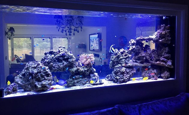 Photo of Aquarium Experts Ltd