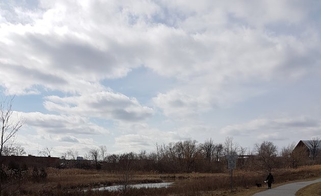 Photo of Keifer Marsh - Langstaff EcoPark