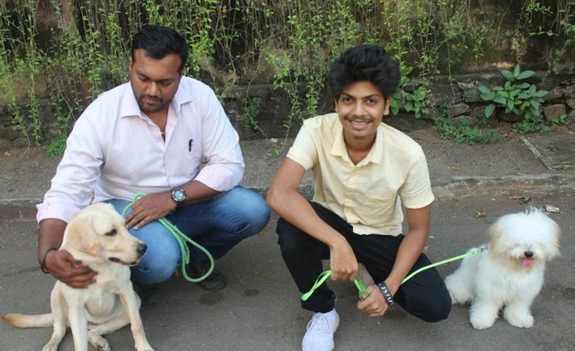Photo of Rahul Dog Trainer