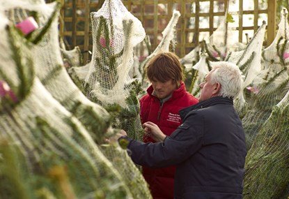 Photo of Christmas Trees London