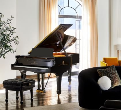 Photo of Steinway Piano Gallery