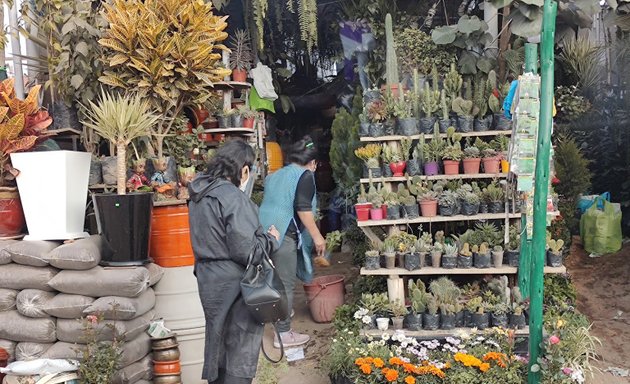 Foto de Vivero Las Magnolias